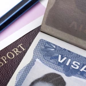 Appeals and reviews in terms of the immigration act - Service Image